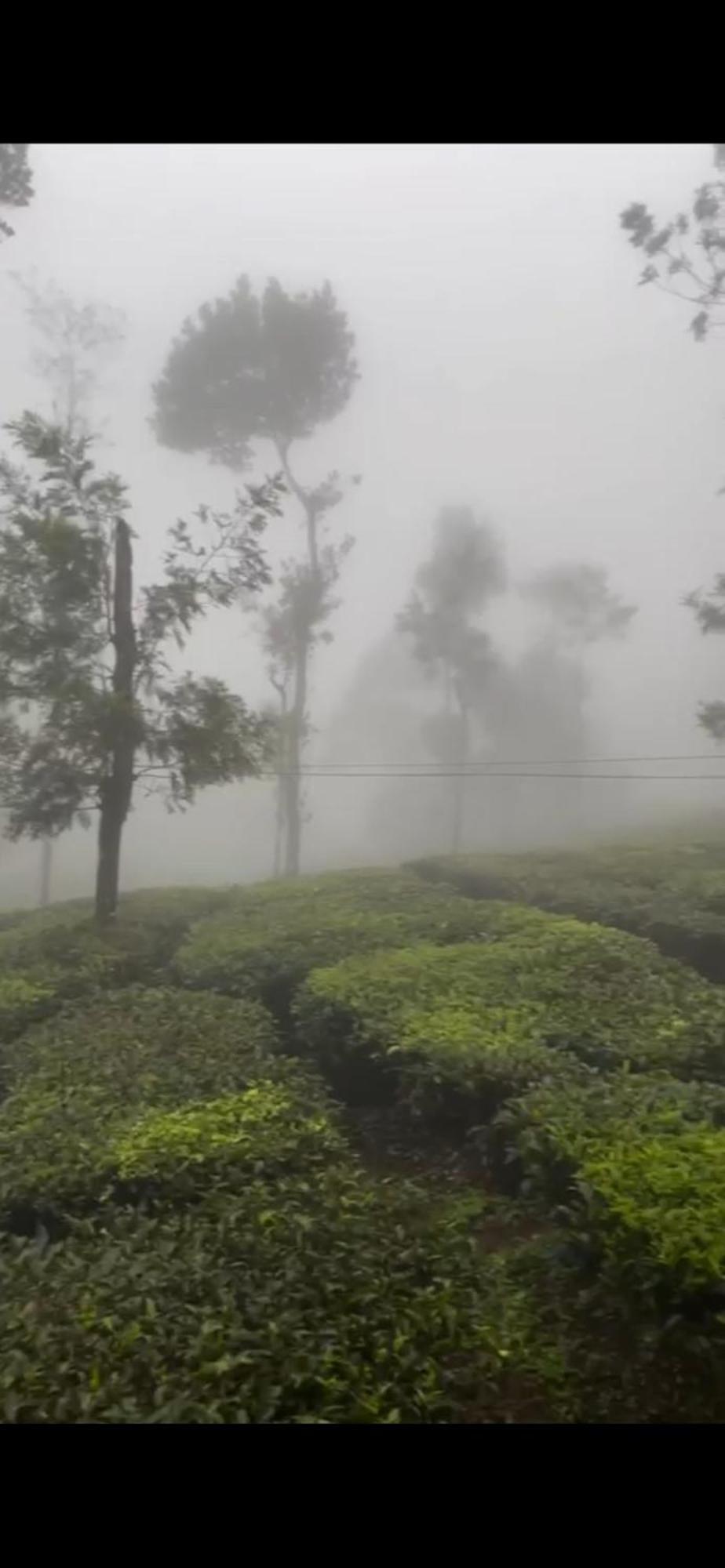 Moss Adams Inn Vagamon Buitenkant foto